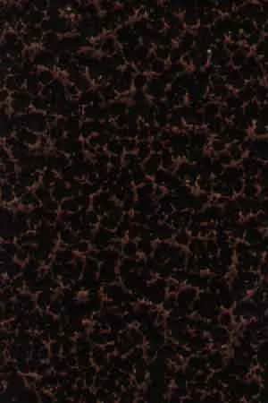 RL-9941-X