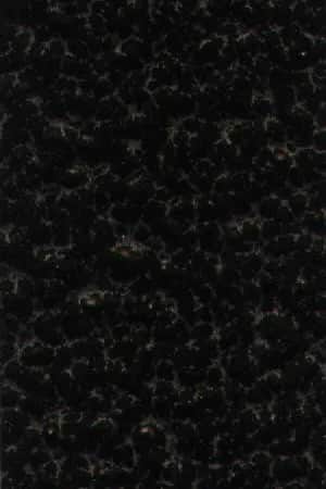 RL-7117-XW